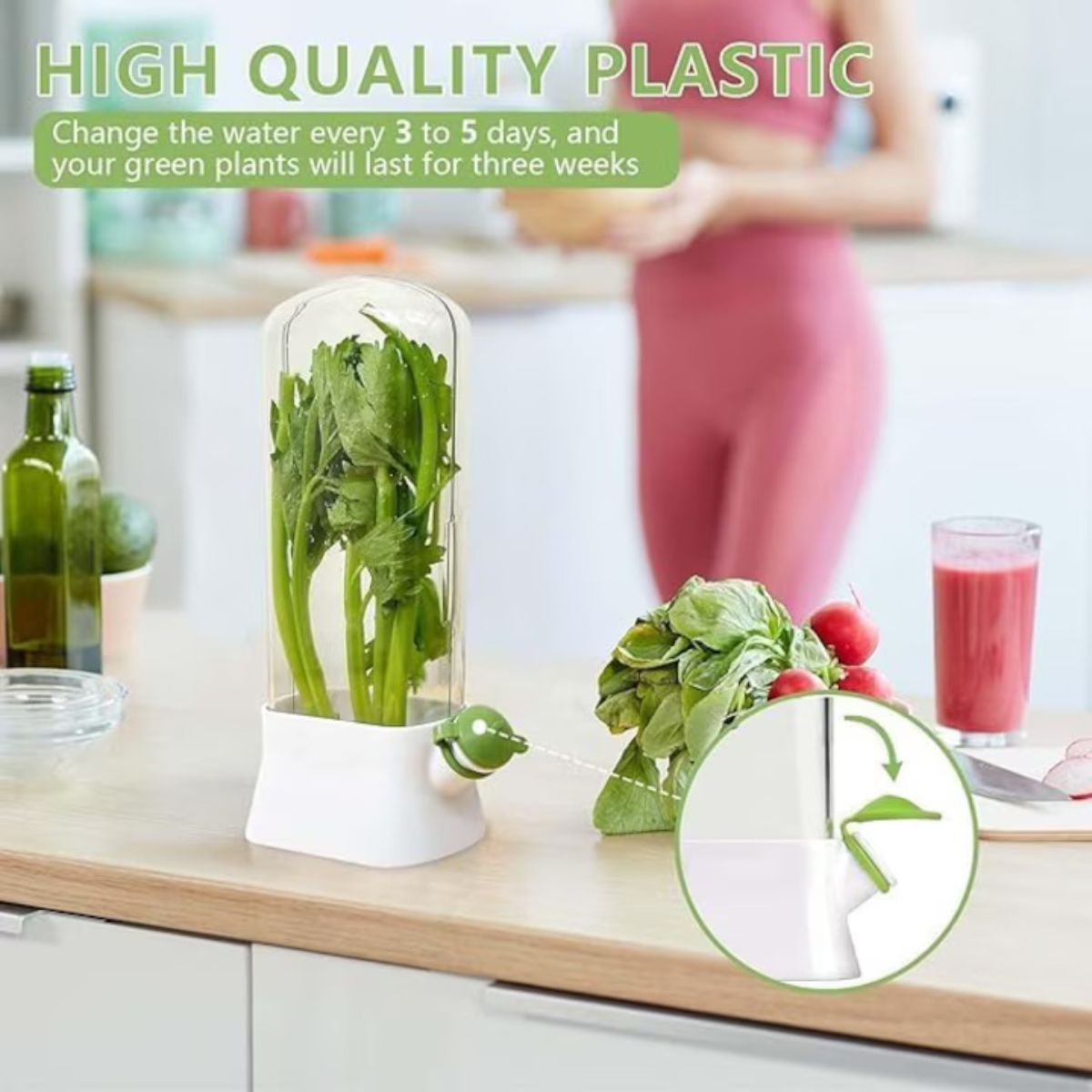 Caserola Transparentă pentru Păstrarea Verdețurilor și Plantelor Aromatice – Rezervor Apă, Pereți Despărțitori, Alb