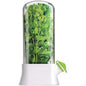 Caserola Transparentă pentru Păstrarea Verdețurilor și Plantelor Aromatice – Rezervor Apă, Pereți Despărțitori, Alb