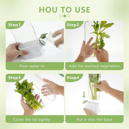 Caserola Transparentă pentru Păstrarea Verdețurilor și Plantelor Aromatice – Rezervor Apă, Pereți Despărțitori, Alb